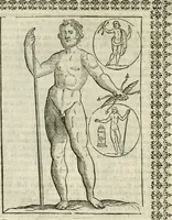 An illustration from Le vere e nove imagini de gli dei delli antichi di Vicenzo Cartari Reggiano. Ridotte da capo a piedi in questa nouissima impressione alle loro reali, & non piu per l'adietro osseruate simiglianze. Cauate da' marmi, bronzi, medaglie, gioie, & altre memorie antiche; (1615)