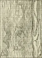 An illustration from Le vere e nove imagini de gli dei delli antichi di Vicenzo Cartari Reggiano. Ridotte da capo a piedi in questa nouissima impressione alle loro reali, & non piu per l'adietro osseruate simiglianze. Cauate da' marmi, bronzi, medaglie, gioie, & altre memorie antiche; (1615)