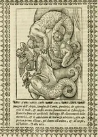 Picture 97 of 279 from Le vere e nove imagini de gli dei delli antichi di Vicenzo Cartari Reggiano. Ridotte da capo a piedi in questa nouissima impressione alle loro reali, & non piu per l'adietro osseruate simiglianze. Cauate da' marmi, bronzi, medaglie, gioie, & altre memorie antiche; (1615), leaf 299