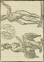 An illustration from Le vere e nove imagini de gli dei delli antichi di Vicenzo Cartari Reggiano. Ridotte da capo a piedi in questa nouissima impressione alle loro reali, & non piu per l'adietro osseruate simiglianze. Cauate da' marmi, bronzi, medaglie, gioie, & altre memorie antiche; (1615)