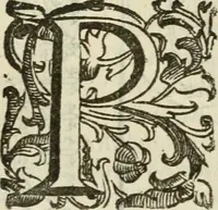 Picture 165 of 279 from Le vere e nove imagini de gli dei delli antichi di Vicenzo Cartari Reggiano. Ridotte da capo a piedi in questa nouissima impressione alle loro reali, & non piu per l'adietro osseruate simiglianze. Cauate da' marmi, bronzi, medaglie, gioie, & altre memorie antiche; (1615), leaf 502