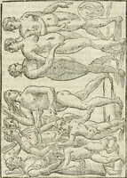 Picture 169 of 279 from Le vere e nove imagini de gli dei delli antichi di Vicenzo Cartari Reggiano. Ridotte da capo a piedi in questa nouissima impressione alle loro reali, & non piu per l'adietro osseruate simiglianze. Cauate da' marmi, bronzi, medaglie, gioie, & altre memorie antiche; (1615), leaf 510