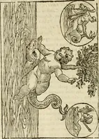 An illustration from Le vere e nove imagini de gli dei delli antichi di Vicenzo Cartari Reggiano. Ridotte da capo a piedi in questa nouissima impressione alle loro reali, & non piu per l'adietro osseruate simiglianze. Cauate da' marmi, bronzi, medaglie, gioie, & altre memorie antiche; (1615)