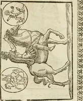An illustration from Le vere e nove imagini de gli dei delli antichi di Vicenzo Cartari Reggiano. Ridotte da capo a piedi in questa nouissima impressione alle loro reali, & non piu per l'adietro osseruate simiglianze. Cauate da' marmi, bronzi, medaglie, gioie, & altre memorie antiche; (1615)