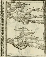 Picture 204 of 279 from Le vere e nove imagini de gli dei delli antichi di Vicenzo Cartari Reggiano. Ridotte da capo a piedi in questa nouissima impressione alle loro reali, & non piu per l'adietro osseruate simiglianze. Cauate da' marmi, bronzi, medaglie, gioie, & altre memorie antiche; (1615), leaf 582