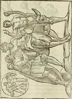 An illustration from Le vere e nove imagini de gli dei delli antichi di Vicenzo Cartari Reggiano. Ridotte da capo a piedi in questa nouissima impressione alle loro reali, & non piu per l'adietro osseruate simiglianze. Cauate da' marmi, bronzi, medaglie, gioie, & altre memorie antiche; (1615)