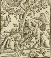 An illustration from Le vere e nove imagini de gli dei delli antichi di Vicenzo Cartari Reggiano. Ridotte da capo a piedi in questa nouissima impressione alle loro reali, & non piu per l'adietro osseruate simiglianze. Cauate da' marmi, bronzi, medaglie, gioie, & altre memorie antiche; (1615)
