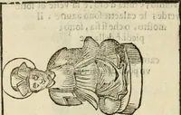 Picture 260 of 279 from Le vere e nove imagini de gli dei delli antichi di Vicenzo Cartari Reggiano. Ridotte da capo a piedi in questa nouissima impressione alle loro reali, & non piu per l'adietro osseruate simiglianze. Cauate da' marmi, bronzi, medaglie, gioie, & altre memorie antiche; (1615), leaf 655