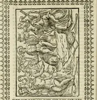 Picture 23 of 279 from Le vere e nove imagini de gli dei delli antichi di Vicenzo Cartari Reggiano. Ridotte da capo a piedi in questa nouissima impressione alle loro reali, & non piu per l'adietro osseruate simiglianze. Cauate da' marmi, bronzi, medaglie, gioie, & altre memorie antiche; (1615), leaf 85