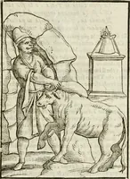 Picture 28 of 279 from Le vere e nove imagini de gli dei delli antichi di Vicenzo Cartari Reggiano. Ridotte da capo a piedi in questa nouissima impressione alle loro reali, & non piu per l'adietro osseruate simiglianze. Cauate da' marmi, bronzi, medaglie, gioie, & altre memorie antiche; (1615), leaf 96