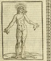 An illustration from Le vere e nove imagini de gli dei delli antichi (1615)