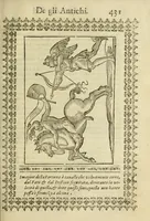 Picture 30 of 55 from Le vere e nove imagini de gli dei delli antichi (1615), leaf 473