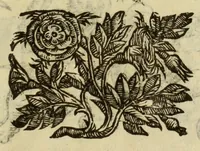 An illustration from Le vere e nove imagini de gli dei delli antichi (1615)