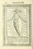 An illustration from Le vere e nove imagini de gli dei delli antichi (1615)