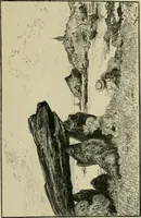 An illustration from Le vingtième siècle: la vie électrique (1893)