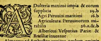 An illustration from Levini Apollonii, Gandobrugani, Mittelburgensis, de Peruviæ, regionis, inter Noui Orbis prouincias celeberrimæ, inuentione: trebus in eadem gestis, libri V. ... : breuis, exactʹaque Noui Orbis, & Peruuiæ regionis chorographia (1567)