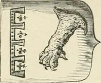 An illustration from Le vite de'più eccellenti pittori, scultori ed architettori. Con nuove annotazioni e commenti di Gaetano Milanesi (1885)