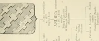 Picture 8 of 8 from Le vite de'più eccellenti pittori, scultori ed architettori. Con nuove annotazioni e commenti di Gaetano Milanesi (1885), leaf 490