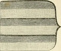 An illustration from Le vite de'più eccellenti pittori, scultori ed architettori. Con nuove annotazioni e commenti di Gaetano Milanesi (1885)