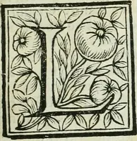 An illustration from Le vite de pittori, scoltori, et architetti genovesi : e de' forastieri, che in Genoua operarono : con alcuni ritratti de gli stessi (1674)