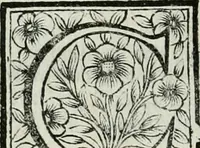 An illustration from Le vite de pittori, scoltori, et architetti genovesi : e de' forastieri, che in Genoua operarono : con alcuni ritratti de gli stessi (1674)