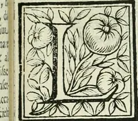 An illustration from Le vite de pittori, scoltori, et architetti genovesi : e de' forastieri, che in Genoua operarono : con alcuni ritratti de gli stessi (1674)