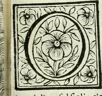 An illustration from Le vite de pittori, scoltori, et architetti genovesi : e de' forastieri, che in Genoua operarono : con alcuni ritratti de gli stessi (1674)