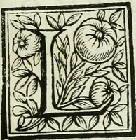 An illustration from Le vite de pittori, scoltori, et architetti genovesi : e de' forastieri, che in Genoua operarono : con alcuni ritratti de gli stessi (1674)