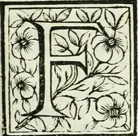 An illustration from Le vite de pittori, scoltori, et architetti genovesi : e de' forastieri, che in Genoua operarono : con alcuni ritratti de gli stessi (1674)