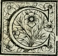 An illustration from Le vite de pittori, scoltori, et architetti genovesi : e de' forastieri, che in Genoua operarono : con alcuni ritratti de gli stessi (1674)
