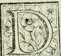 An illustration from Le vite de pittori, scoltori, et architetti genovesi : e de' forastieri, che in Genoua operarono : con alcuni ritratti de gli stessi (1674)