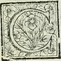 An illustration from Le vite de pittori, scoltori, et architetti genovesi : e de' forastieri, che in Genoua operarono : con alcuni ritratti de gli stessi (1674)