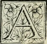 An illustration from Le vite de pittori, scoltori, et architetti genovesi : e de' forastieri, che in Genoua operarono : con alcuni ritratti de gli stessi (1674)