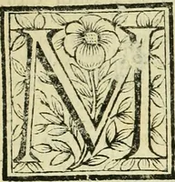 An illustration from Le vite de pittori, scoltori, et architetti genovesi : e de' forastieri, che in Genoua operarono : con alcuni ritratti de gli stessi (1674)