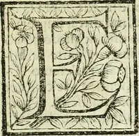 An illustration from Le vite de pittori, scoltori, et architetti genovesi : e de' forastieri, che in Genoua operarono : con alcuni ritratti de gli stessi (1674)