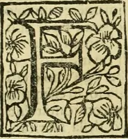 An illustration from Le vite de pittori, scoltori, et architetti genovesi : e de' forastieri, che in Genoua operarono : con alcuni ritratti de gli stessi (1674)
