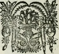 An illustration from Le vite de pittori, scoltori, et architetti genovesi : e de' forastieri, che in Genoua operarono : con alcuni ritratti de gli stessi (1674)