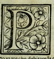 An illustration from Le uite de pittori, scoltori, et architetti genouesi e de' forastieri, che in Genoua operarono con alcun ritratti de gli stessi (1674)