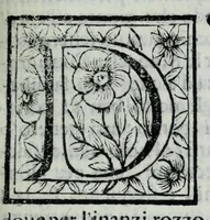 Picture 32 of 58 from Le uite de pittori, scoltori, et architetti genouesi e de' forastieri, che in Genoua operarono con alcun ritratti de gli stessi (1674), leaf 243