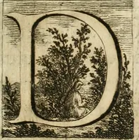 An illustration from Le vite de' piv celebri architetti d'ogni nazione e d'ogni tempo : precedvte da vn saggio sopra l' architettvra (1768)