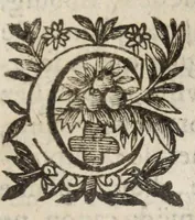 Picture 5 of 9 from Le voyage de France, dressé pour l'instruction & commodité tant des François, que des estrangers (1639), leaf 129