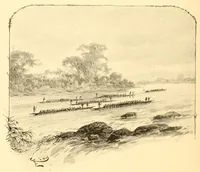 Picture 12 of 17 from Le voyage de mon fils au Congo (1894), leaf 228