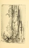 An illustration from Le voyage de mon fils au Congo (1894)
