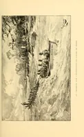 An illustration from Le voyage de mon fils au Congo (1894)