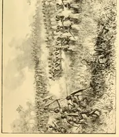 Picture 16 of 17 from Le voyage de mon fils au Congo (1894), leaf 305