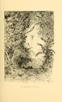 Picture 2 of 17 from Le voyage de mon fils au Congo (1894), leaf 35