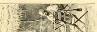 Picture 5 of 17 from Le voyage de mon fils au Congo (1894), leaf 71