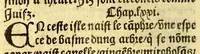 An illustration from Le voyage et nauigation, faict par les Espaignolz es Isles de Mollucques. Des isles quilz ont trouue audict voyage, des roys dicelles, de leur gouuernement & maniere de viure, auec plusiers aultres choses (1525)
