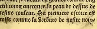An illustration from Le voyage et nauigation, faict par les Espaignolz es Isles de Mollucques. Des isles quilz ont trouue audict voyage, des roys dicelles, de leur gouuernement & maniere de viure, auec plusiers aultres choses (1525)