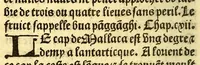 An illustration from Le voyage et nauigation, faict par les Espaignolz es Isles de Mollucques. Des isles quilz ont trouue audict voyage, des roys dicelles, de leur gouuernement & maniere de viure, auec plusiers aultres choses (1525)
